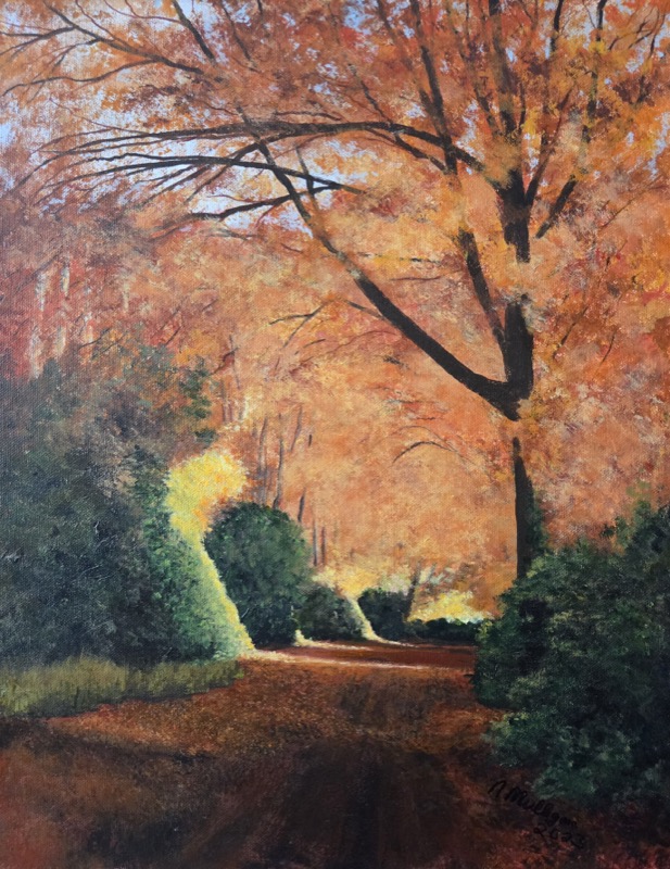 A road running beneath a high canopy of beech trees in full autumn orange