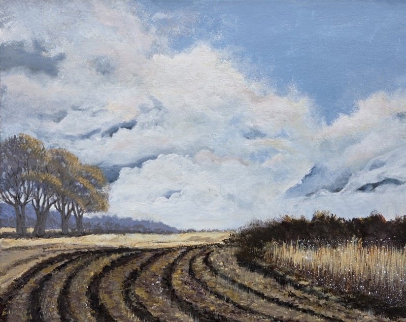 Curving furrows of dark ploughed earth beneath a wide sky of towering white cloud