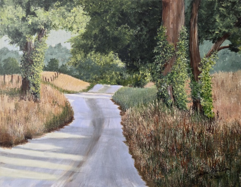 A narrow country road dipping between summer hedgerows and tall golden grasses