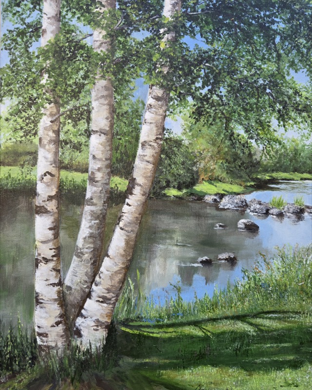 Three silver birch trunks leaning over a slow green river on a bright summer day